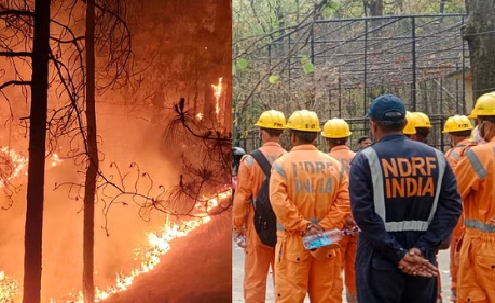जंगल की आग ने वन विभाग कर्मचारियों के छुड़ाए पसीने